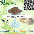 Natural White Button Mushroom Extract 30% Polysaccharide